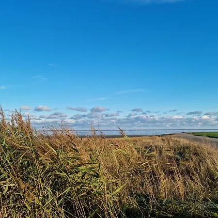 Haus Ankerliebe بيت للعطل دورنوم